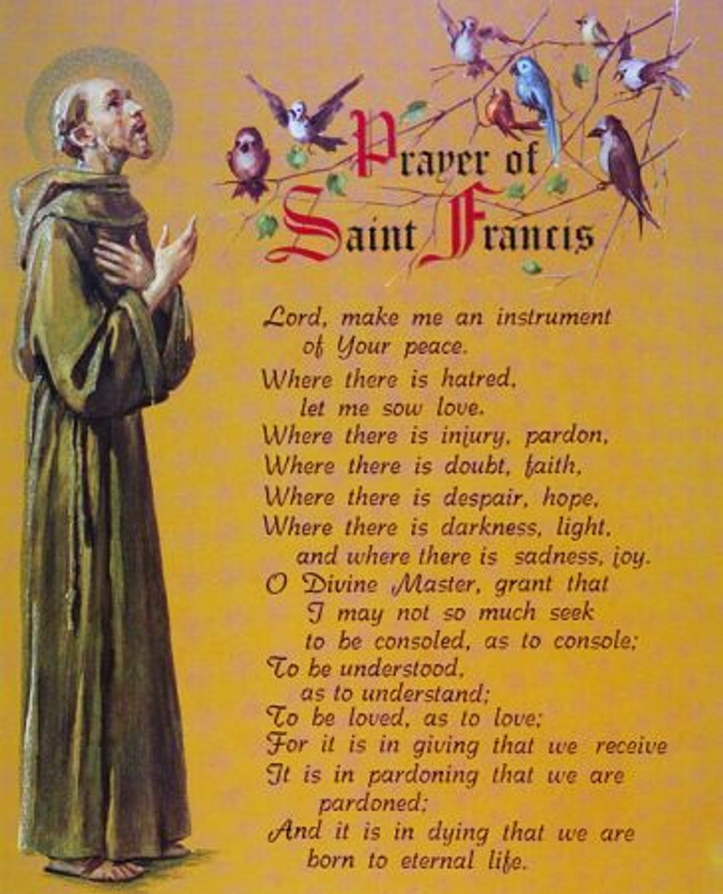 Prayer of Saint Francis Print Only 8"x 10" Card Stock P810311 F.C. Ziegler Company
