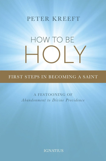 How To Be Holy paperback book by kreeft on First Steps In Becoming A Saint 172 pages 9781621641025