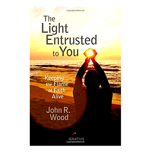The Light Entrusted to You Keeping the Flame of Faith Alive PB 9781621641728  The Light Entrusted to You Keeping the Flame of Faith Alive PB 9781621641728
