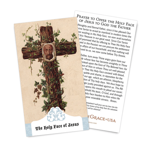 The Holy Face of Jesus Holy Card and Prayer 2.5" X 4.5" USA