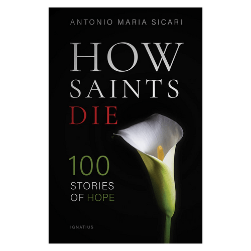 How Saints Die 100 Stories of Hope PB 9781621644491  How Saints Die 100 Stories of Hope PB 9781621644491