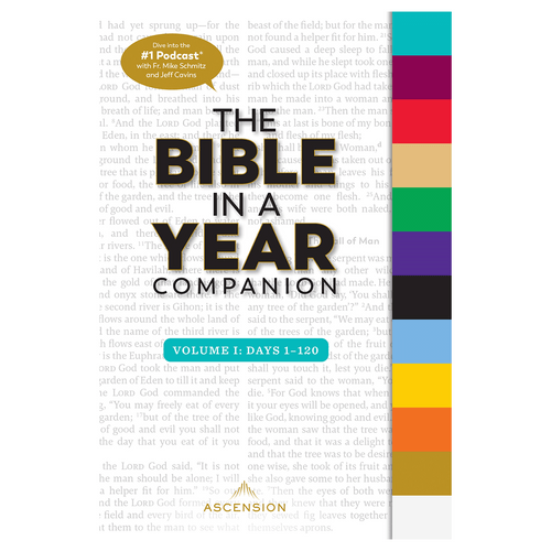 Bible In A Year Companion Volume 1 PB 9781950784998 Bible In A Year Companion Volume 1 PB 9781950784998