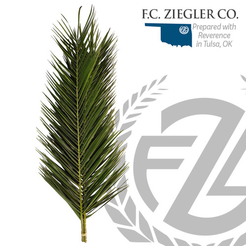 Date Palm 4 per bag For Palm Sunday