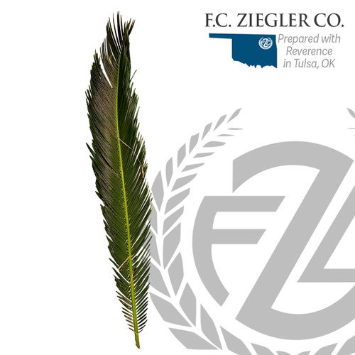 Sago Palm 4 per bag For Palm Sunday ZZSAGO