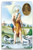 Holy Card of Oracion A San Lazaro - Spanish Holy Card of Oracion A San Lazaro - Spanish