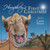 Humphrey's First Christmas The Camels Story PB 9780824916817