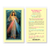 Chaplet of the Divine Mercy Holy Card Laminated GE800529-E24123