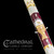 Eximious® Twelve Apostles Paschal Candle – 51% Beeswax