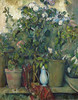 Bosch 16168