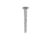 Electrolux 131205400 Frigidaire Washer Screw for Crosley, Electrolux, Frigidaire, Gibson, Kelvinator, Kenmore, Sears / Canada, Tappan, Universal/Multiflex (Frigidaire), White-Westinghouse