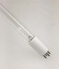 Fisher Paykel 522635 Replacement for Pentair Light Bulb This Bulb is Not Manufactured by Pentair