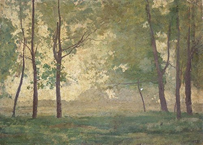 Bosch 15571 Oxygen Sensor, OE Fitment (Lexus, Toyota)