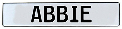 Fisher Paykel 578778 Vintage Parts Wall Art (Abbie White Stamped Aluminium Street Sign Man cave)