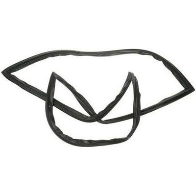 GE Appliances WR24X10080 GASKET LTM FF DR BK