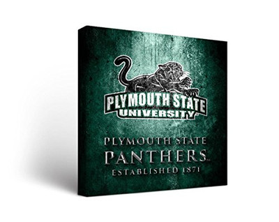Fisher Paykel 838158 Victory Tailgate Plymouth State University Panthers Canvas Wall Art Museum Design (24x24)