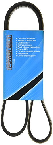 Fisher Paykel 251225 MAPCO V-Ribbed Belts ()
