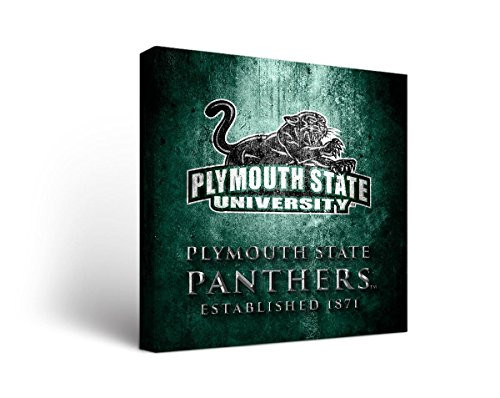 Fisher Paykel 838158 Victory Tailgate Plymouth State University Panthers Canvas Wall Art Museum Design (24x24)