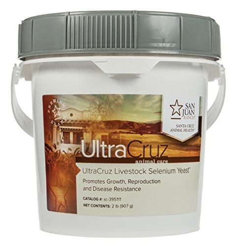 Fisher Paykel 395111 UltraCruz Livestock Selenium Yeast Supplement, 2 lb, Powder (600 Day Supply)