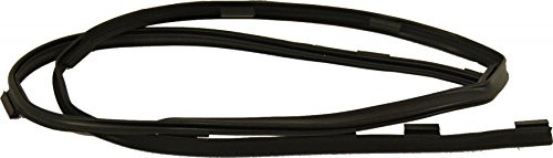 Whirlpool W10163915 Seal - Door - Horizon OEM