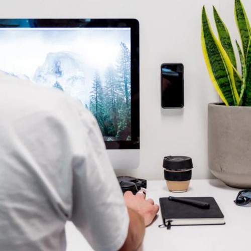 Quad Lock Adhesive Wall Mount (Twin Pack) (V2)