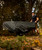 Barrow Cover Camo