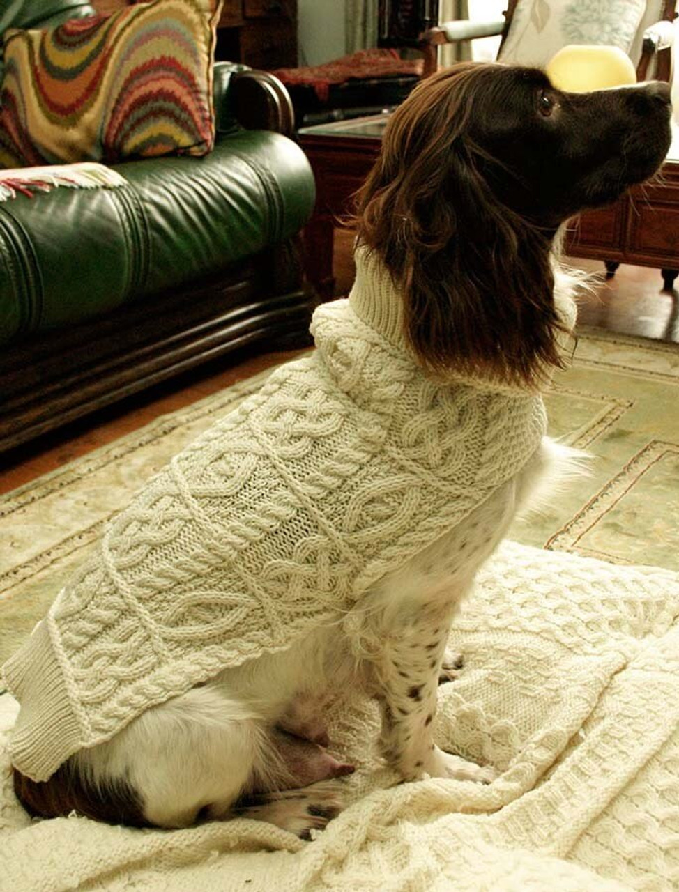 express dog sweater