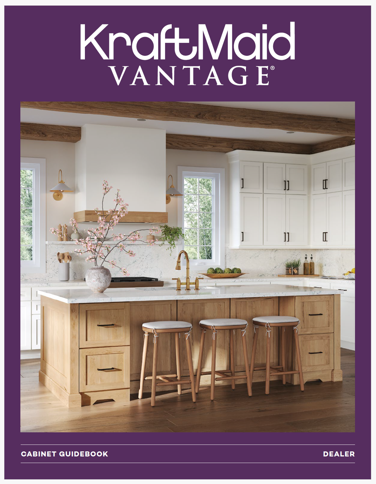 23242-2024-kraftmaid-vantage.jpg