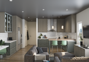 Modern KraftMaid kitchen featuring Translucent Modern Grey on Oak Greylift on Evercore