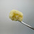 Sour Haze (sativa) Cold Cure Live Rosin THCa Badder