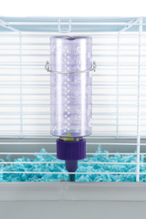 Critter Bright Water Bottle 4 Ounce