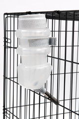 Top-Fill No Drip Dog Water Bottle 44oz