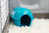 Guinea Pig Igloo