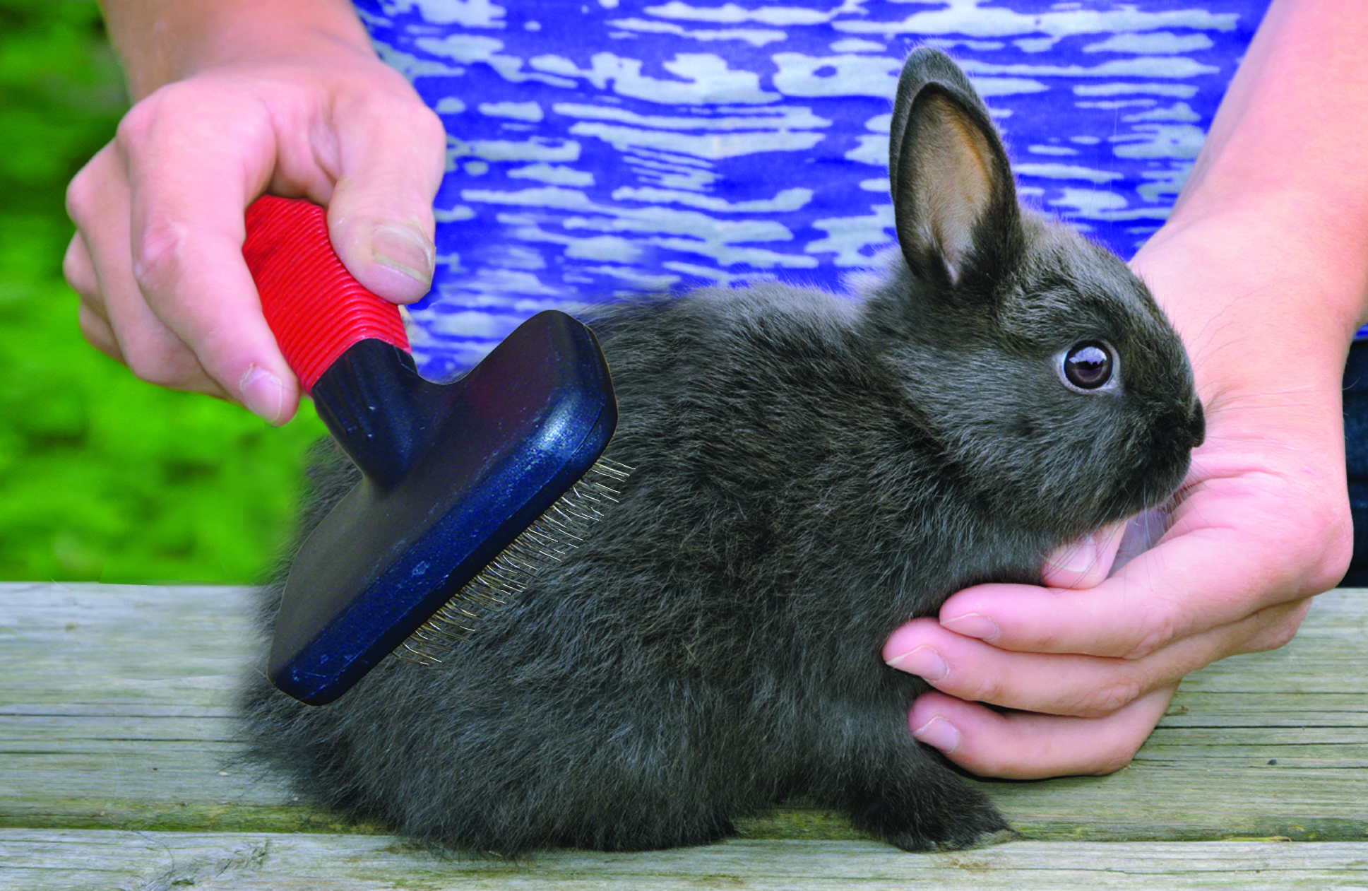 Grooming