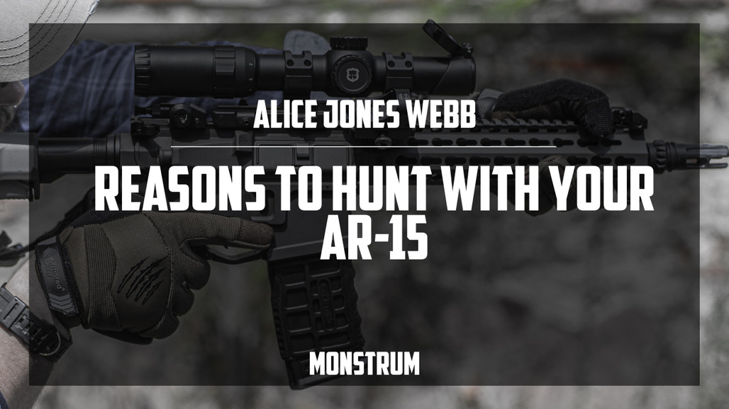 ​Reasons to Hunt With Your AR-15