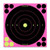 Birchwood Casey Shoot-N-C 8" Bull's Eye Pink Reactive Targets - 6 Pack