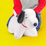 Click here to shop Peanuts Pillow Pets