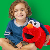 click here to shop Sesame Street Pillow Pets