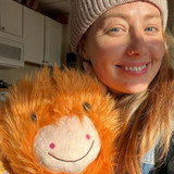 Highland Cow Pillow Pet Lifestyle Image