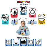 Bluey Pillow Pet Infographic Image