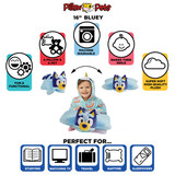 Bluey Pillow Pet Infographic Image