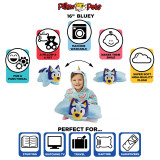 Bluey Pillow Pet Infographic Image