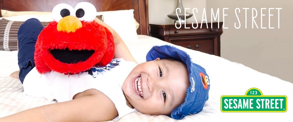 Shop Sesame Street Pillow Pets!