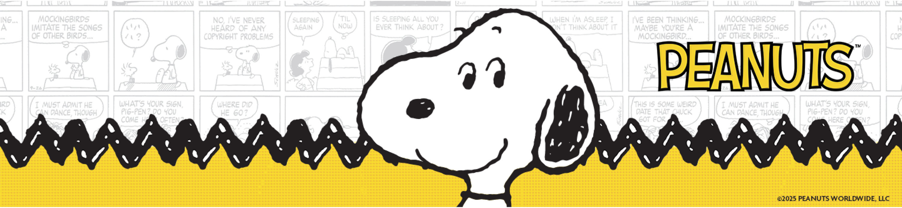 Snoopy character art with the Peanuts logo
