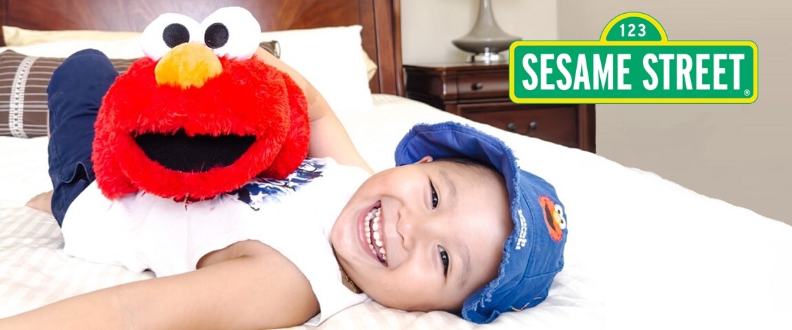 Shop Sesame Street Pillow Pets!