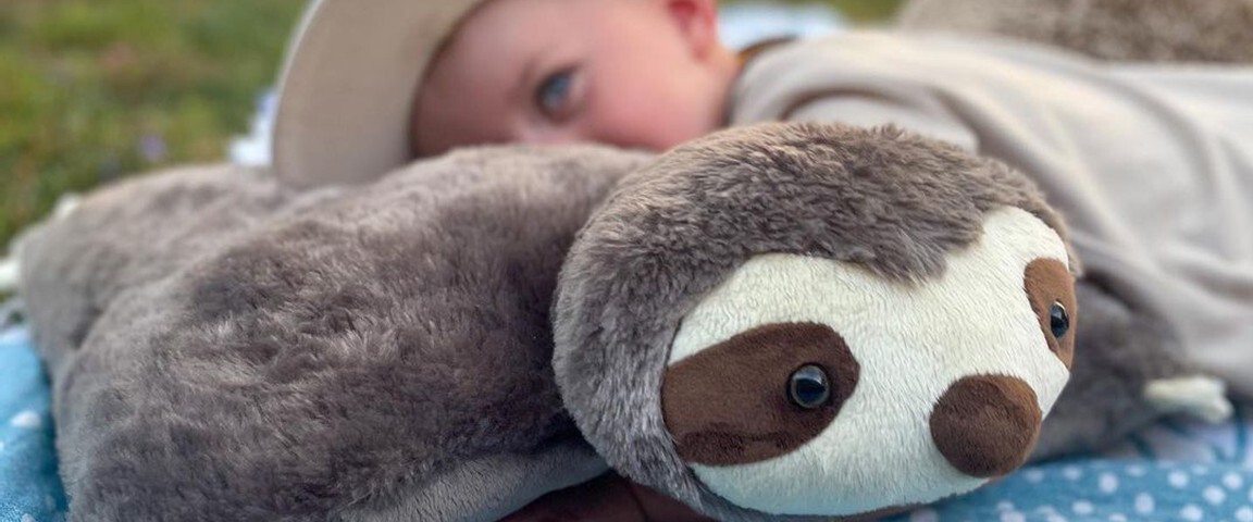 Click here to shop Originals! Pillow Pets style that have been loved since the beginning!