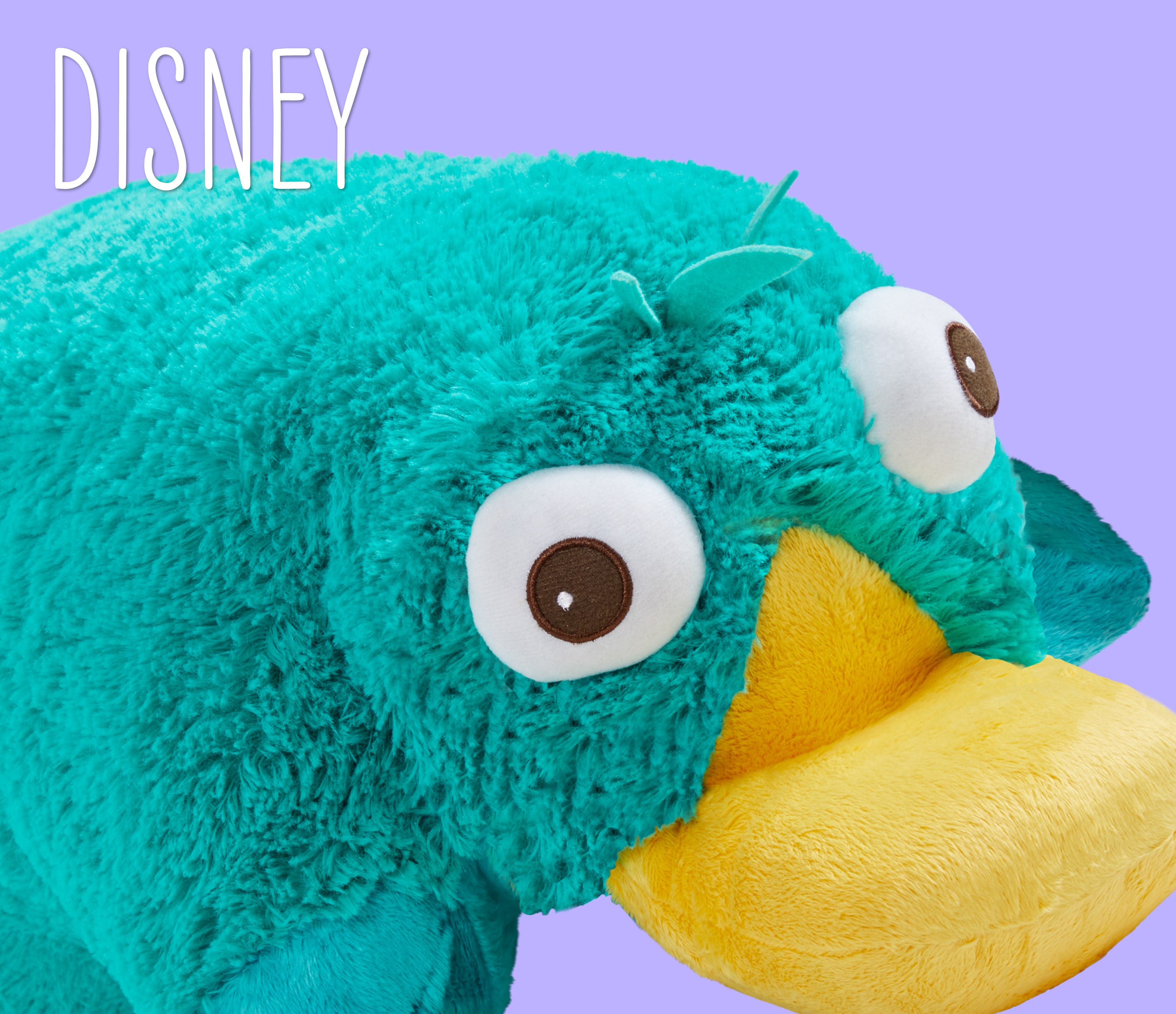 Click here to shop Disney Pillow Pets.
