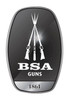 BSA