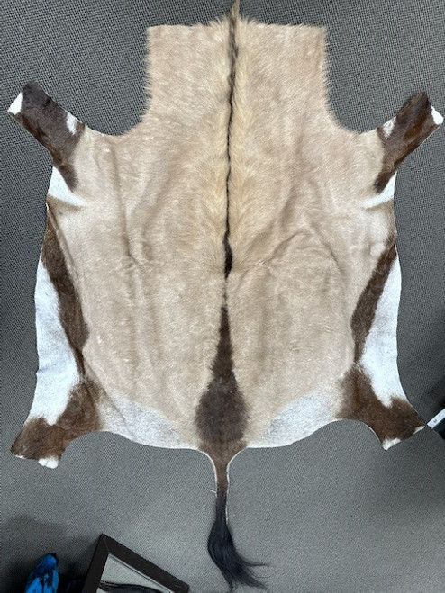 GEMSBUCK FULL SKIN HIDE RUG