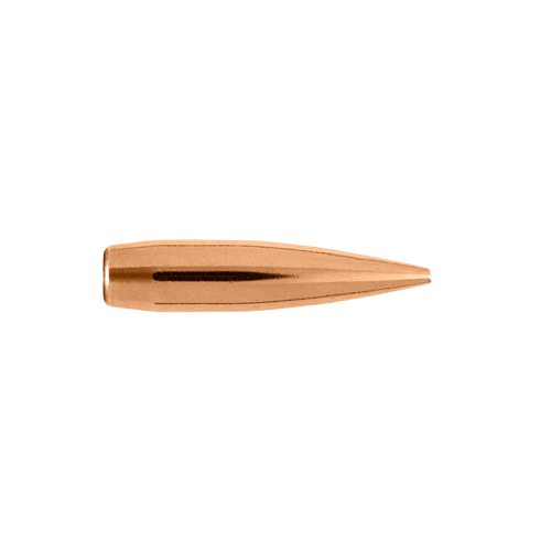 30 Caliber 180 Grain Elite Hunter Rifle Bullet