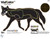 CHAMPION TARGET VISICOLOR COYOTE 10 PACK 16 INCHX11 INCH - SKU: CH45821